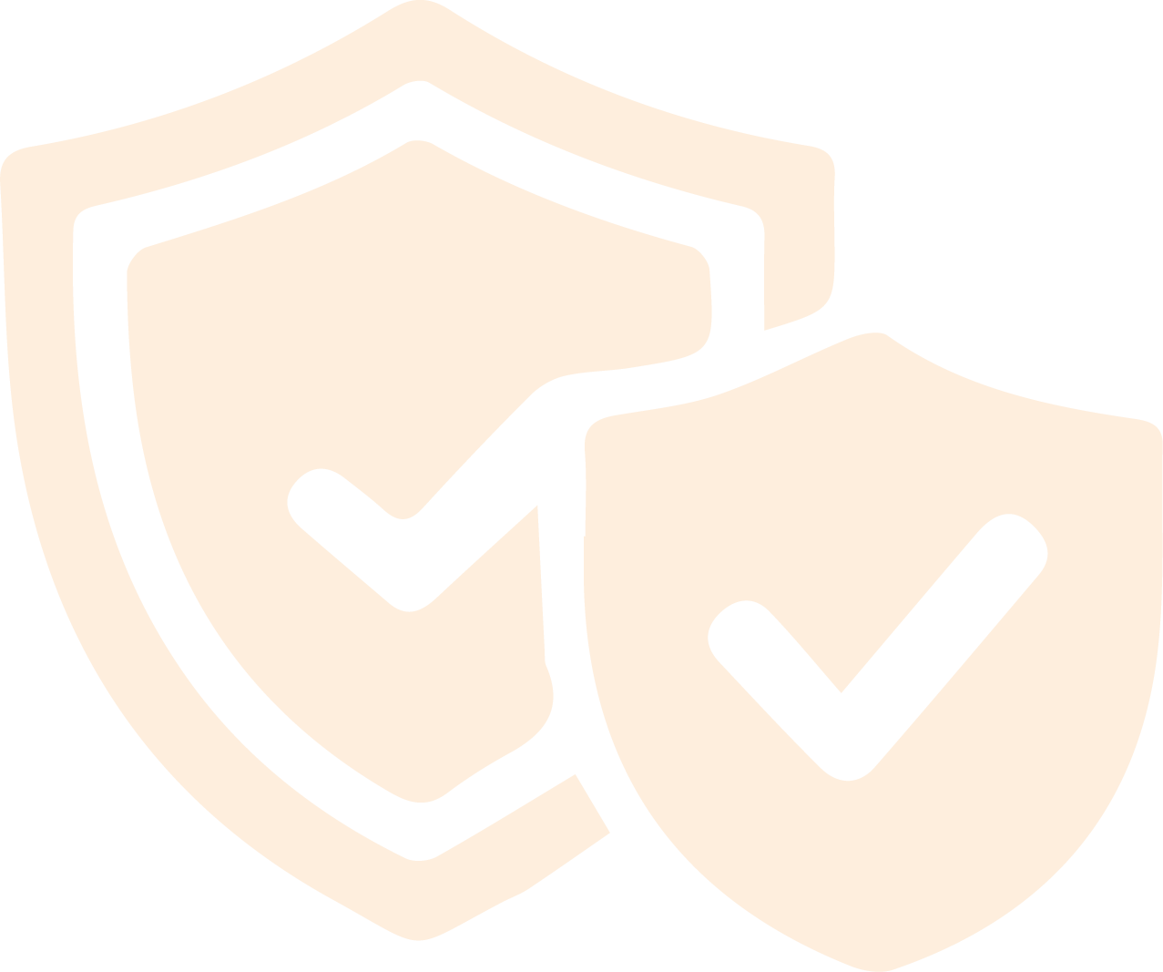 Efficient Protection